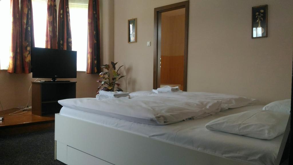 Penzion Marion Hotel Decin Exterior foto